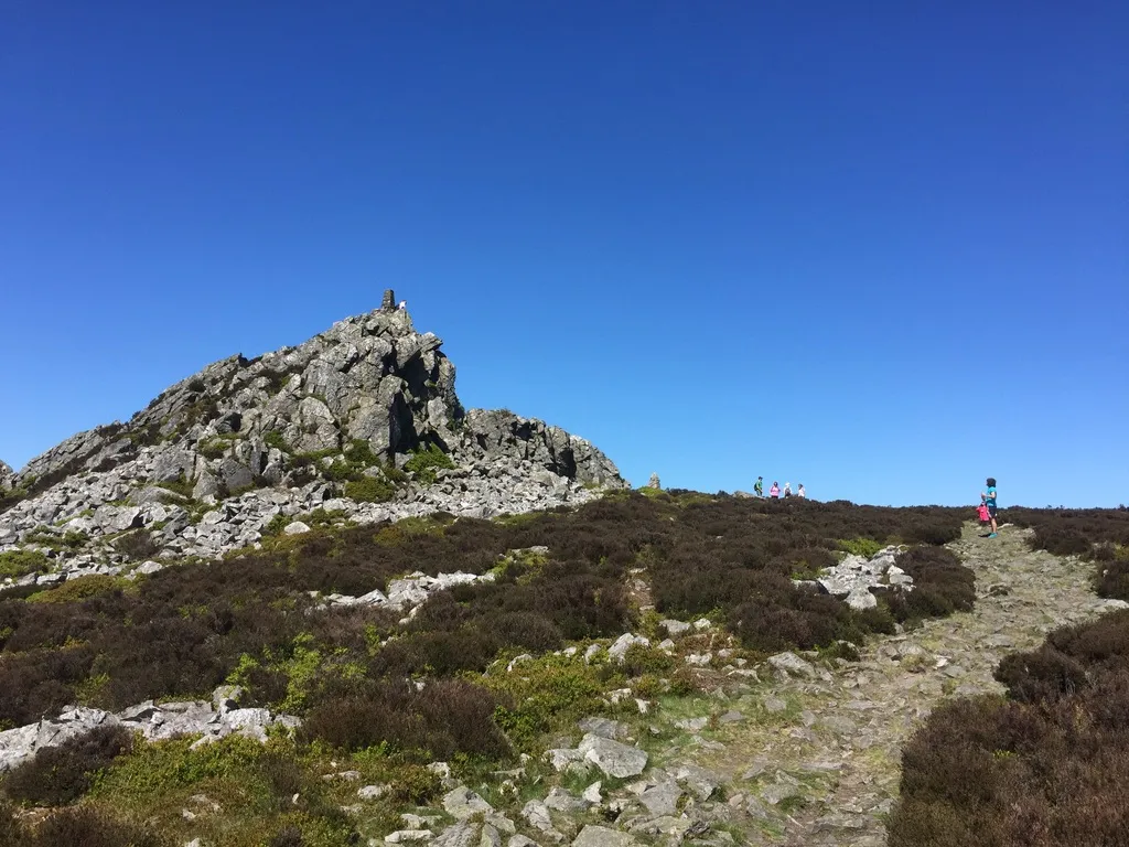 Lowland Leader Assessment photo 6